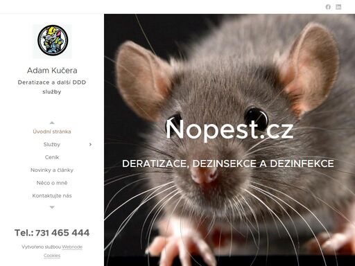 profesionální deratizace a dezinsekce pro brno, vyškov a okolí. kontaktujte nás ještě dnes!