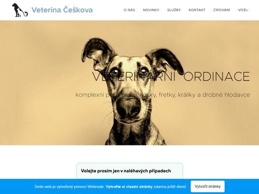 poskytujeme péči o mazlíčky v rámci pojištění  pet expert