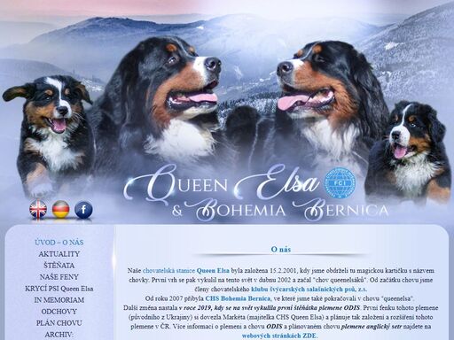 chovatelská stanice fci - queen elsa - bernský salašnický pes, bernese mountain dog fci kennel