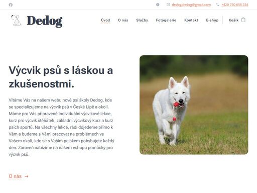 výcvik psů s láskou a zkušenostmi.