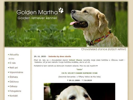 chovatelská stanice zlatých retrívrů - golden retriever kennel
