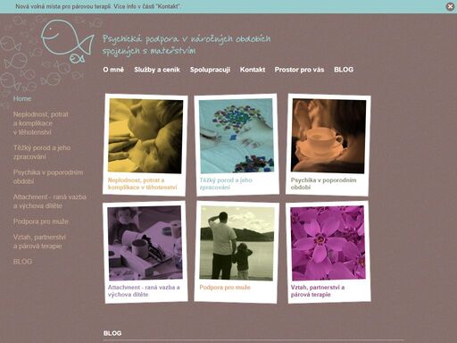 psychosomatická podpora při léčbě neplodnosti a v situacích spojených úzce či vzdáleně s mateřstvím, partnerstvím a vztahy v rodině.