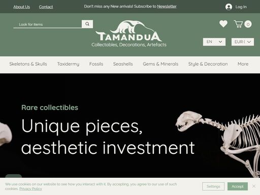 a shop with remarkable natural collectables, decorations and artefacts!