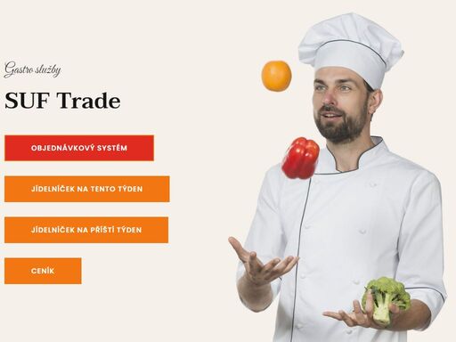 profesionální catering