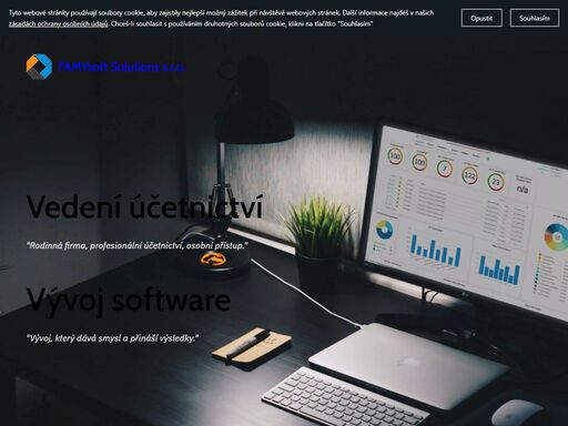 vedení účetnictví, vývoj software