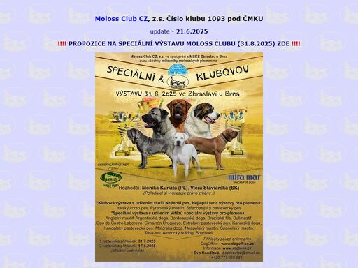 moloss club cz