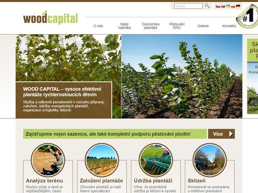 www.woodcapital.cz
