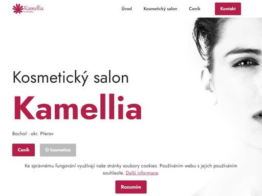 kosmetika kamellia, bochoř okr. přerov - nabízíme kosmetická ošetření, laser sparidonn, trvalou na řasy refectocil, parafinový zábal, másáž obličeje, krku a dekoltu, péče o problematickou pleť - akné. jitka dohnalová 