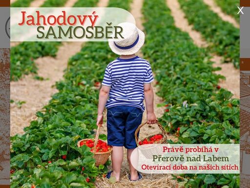 farmářské produkty z našich polabských polí a luk, od lokálních sadařů, pěstitelů a moravských vinařů. místo, kde vzniká závislost na zdraví