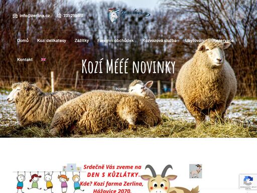 čerstvé kozí sýry z beskyd, rožnov, beskydy, valašsko. bio sýry, mléko z eko rodinné farmy. možnost ubytování, ekoturistika.