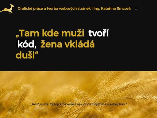 specializujeme se na tvorbu profesionálních webových stránek pro lékaře, právníky, státní instituce a firmy. nabízíme moderní design log, vizitek, letáků a dalších materiálů.