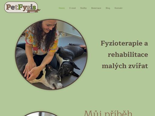 petfysis je centrum fyzioterapie a rehabilitace psů v olomouci. poskytujeme specializovanou péči o pohybový aparát vašich čtyřnohých parťáků.