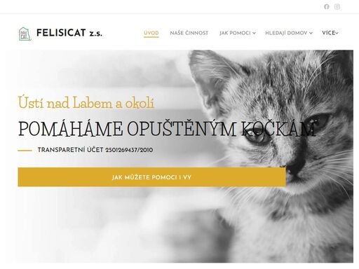 pomoc opuštěným kočkám v ústí nad labem okolí || felisicat, z.s.
