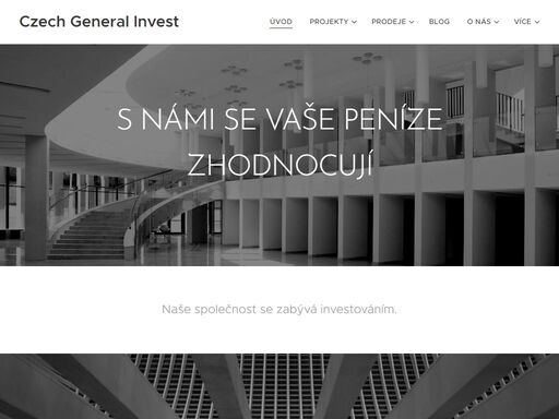 naše společnost se zabývá investováním.