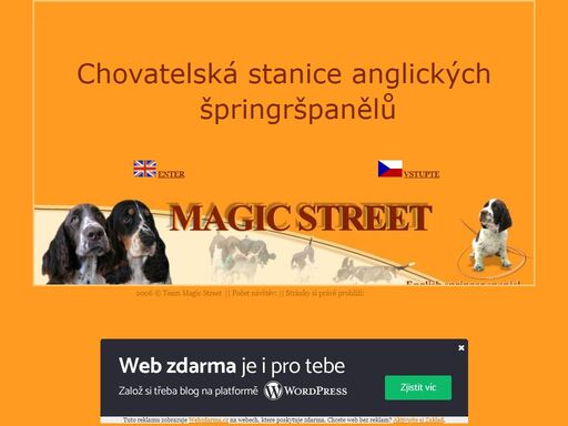 prezentace chovatelské stanice anglických špringršpanělů z kolína, vystavování psů, stříhání psů, nabídka štěňat.