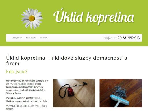 flexibilní úklidová služba zaměřená na úklid kanceláří, bytových domů, hotelů, obchodů, úklid chodníků a čištění koberců.