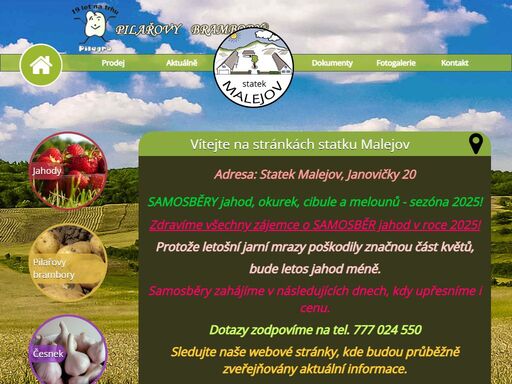 statek malejov, dříve pilagro. pěstitelství a prodej konzumních brambor na uskladnění pod obchodní značkou 