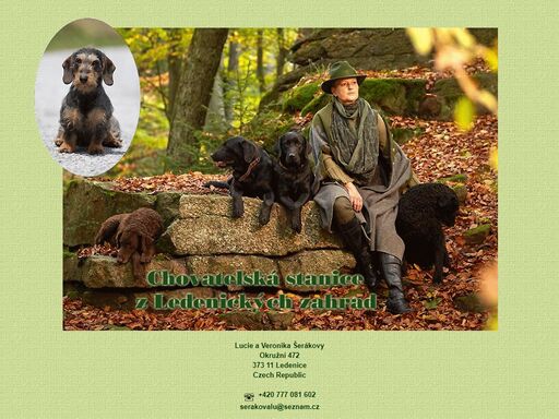 chovatelská stanice z ledenických zahrad retriver retriever retrívr curly coated chesapeake labrador jezevčík
