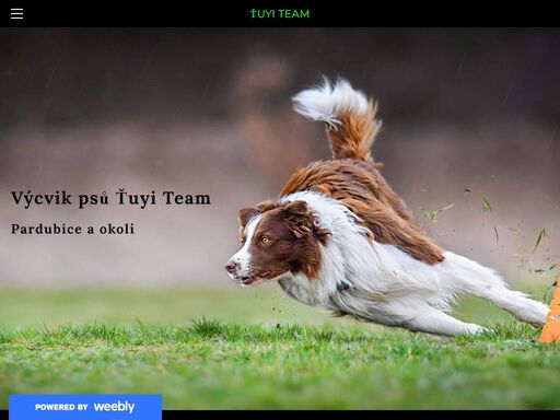 tuyiteam.weebly.com