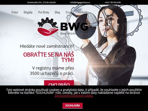 www.bwgagentura.cz