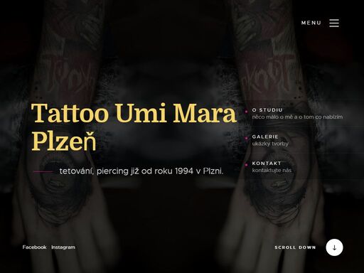 www.tattooplzen.cz