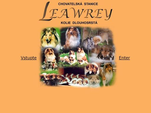 www.leawrey.cz