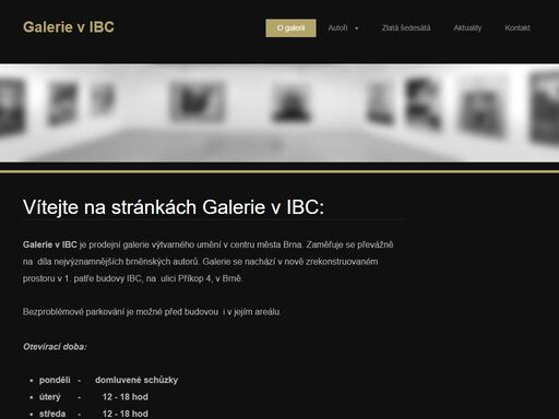 www.galerievibc.cz