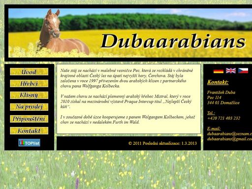 www.dubaarabians.com