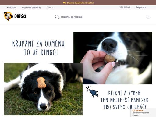 www.dingo-liten.cz