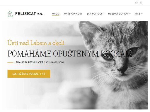 www.felisicat.cz