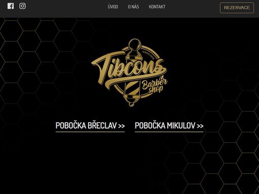 www.tibcons.cz