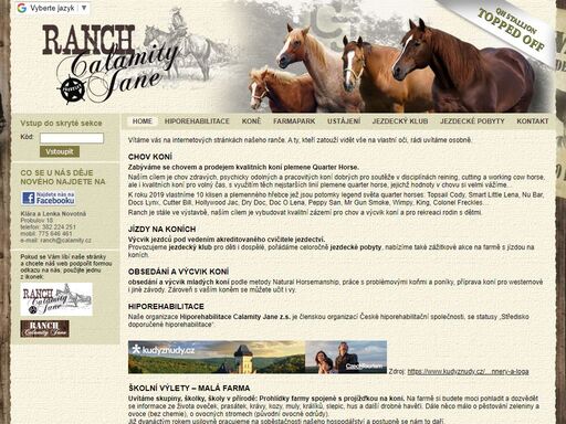 ranch calamity jane - chov a prodej kvalitních koní plemene quarter horse a welsh pony.