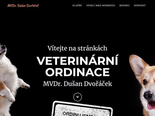 www.mvdrdvoracek.cz