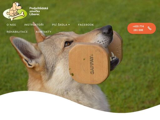 psí škola podještědská smečka liberec školka pro štěňátka štěňata kurzy pro začátečníky výchova výcvik psů poslušnost  obedience pro pokročilé chovatele psů agility dogdancing  triky se psem psy výchovné vycházky kurzy pro reaktivní psy fyzioterapie a rehabilitace pro psy canicross scootering náprava chování canisterapie poslušnost cvičák cvičiště  práce s bázlivými psy rehabilitace fyzioterapie pro psy mobilizace kloubů zachování pohyblivosti kloubů odstranění omezeného pohybu strečink strečing cvičení na míči k posilování svalstva kolem páteře pro psy po úrazech operacích dornova metoda uvolnění spastických svalů kolem páteře šetrné navrácení meziobratlových plotének 