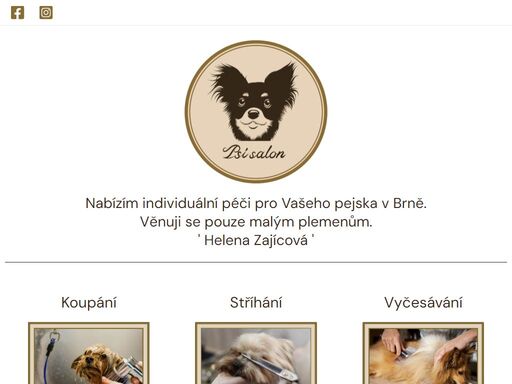 čistota strsti je často opomíjená součást dobré hygieny psů. kvalitní koupel dokáže odstranit všechny nečistoty a nepříjemný zápach. navíc udržuje pokožku a
