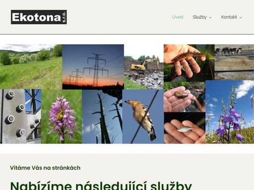 na základě průzkumu a posouzení vašeho projektu vyhodnotím případná rizika a střety se zájmy ochrany přírody. zpracuji pro vás zhodnocení proveditelnosti záměru a jeho vlivů na životní prostředí – biotopy, rostliny a živočichy.