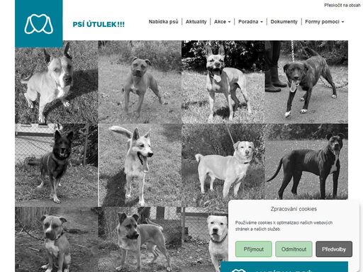 web útulku města ostravy