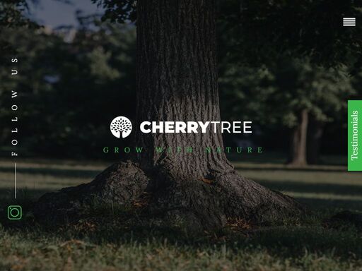 cherry tree english preschool early education centre - we are a forest themed international kindergarten in the heart of prague 2, vinohrady