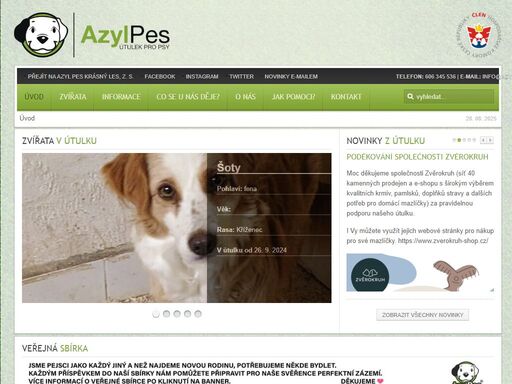 psí útulek azyl pes.