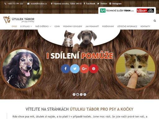 webové stránky útulku pro nalezené psy a kočky, tábor.