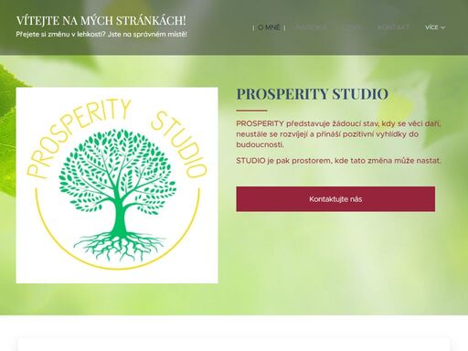 prosperity představuje žádoucí stav, kdy se věci daří, neustále se rozvíjejí a přináší pozitivní vyhlídky do budoucnosti.