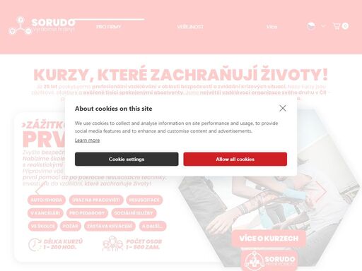 nabízíme firemní kurzy, které zachraňují životy! šetrná sebeobrana, první pomoc i řešení situace s aktivním střelcem. profesionální školení pro firmy od sorudo – připravte své zaměstnance na krizové situace. 