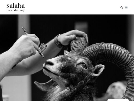 umělecko - řemeslná tvorba dermoplastických preparátů savců a ptáků s použitím moderních technologií a komponentů.