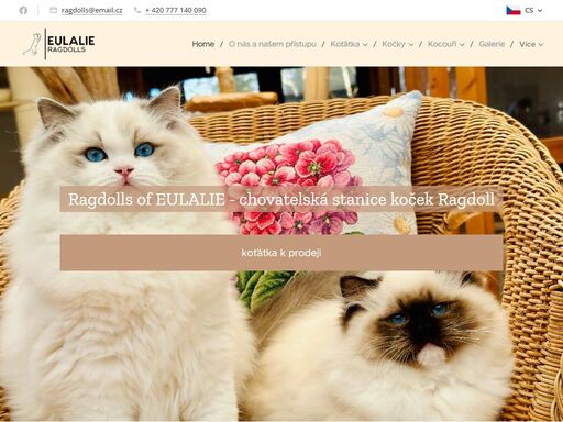 chovná stanice, eulalie, cattery domácí stránka