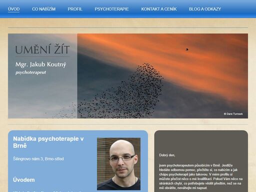 psychoterapie, psychoterapeut, psycholog, brno, jakub koutný