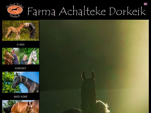 chov koní achal teke