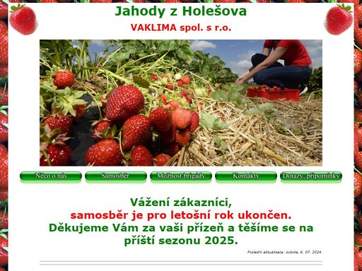 samosběr - jahody z holešova. samosběr je vlastní sběr jahod pro soukromou potřebu, tedy k domácímu zpracování.
