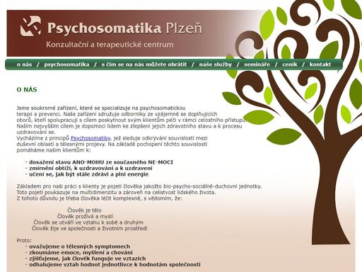 www.psychosomatikaplzen.cz