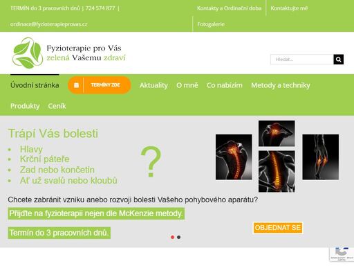 www.fyzioterapieprovas.cz