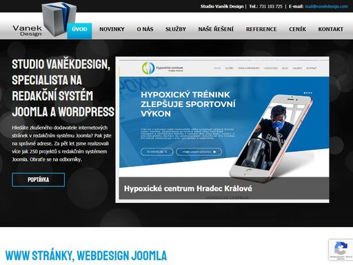 vanekdesign.com